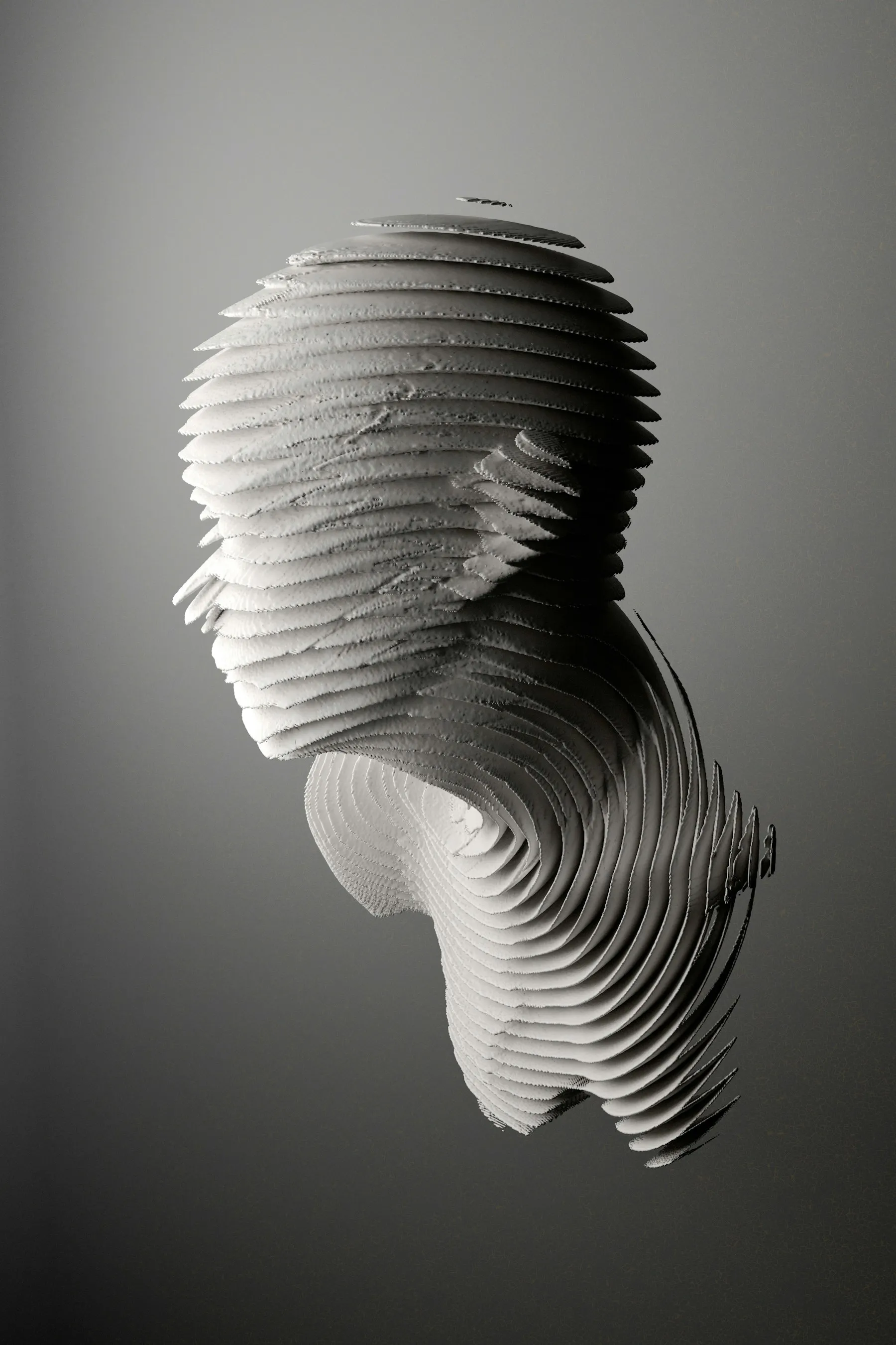 A black and white abstract sculpture of a face